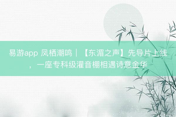 易游app 凤栖潮鸣｜【东湄之声】先导片上线，一座专科级灌音棚相遇诗意金华