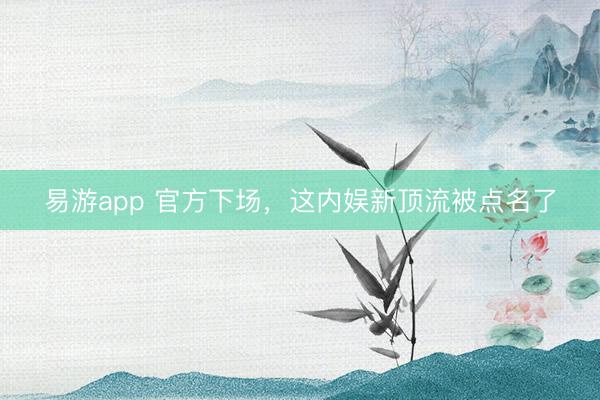 易游app 官方下场,这内娱新顶流被点名了