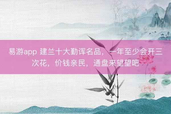 易游app 建兰十大勤诨名品，一年至少会开三次花，价钱亲民，通盘来望望吧