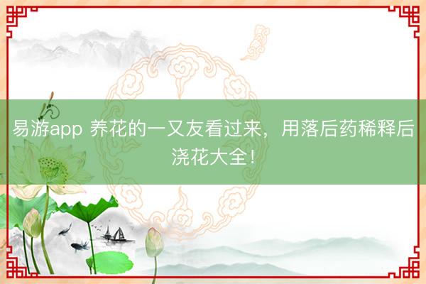 易游app 养花的一又友看过来，用落后药稀释后浇花大全！