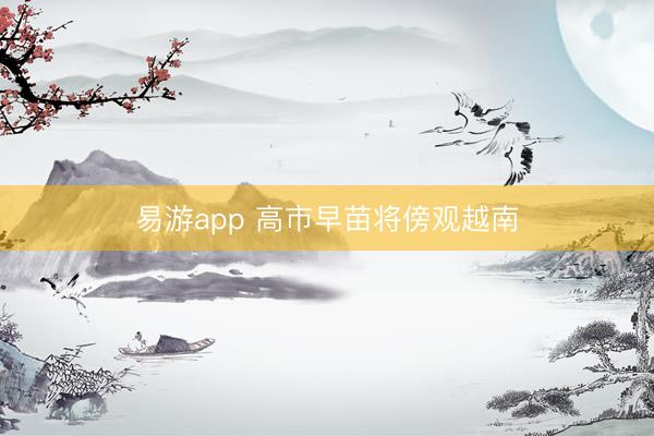 易游app 高市早苗将傍观越南