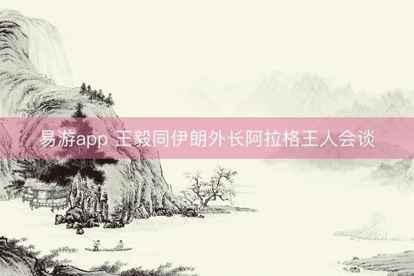 易游app 王毅同伊朗外长阿拉格王人会谈