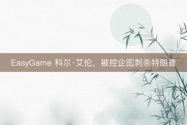 EasyGame 科尔·艾伦，被控企图刺杀特朗普
